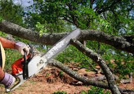 Best Soil Testing and Treatment  in Bethel Manor, VA