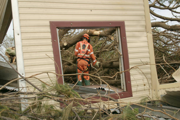 How Our Tree Care Process Works  in  Bethel Manor, VA