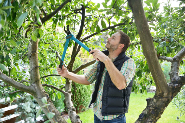 Lawn Watering Services in Bethel Manor, VA